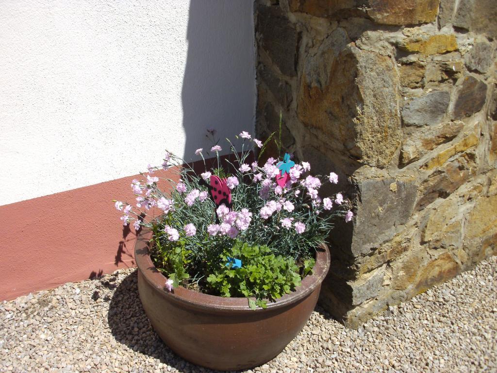Haus Klara Hotel Mannebach  Buitenkant foto